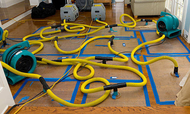 Professional Crawl Space Water Removal technician working in Seneca, IL